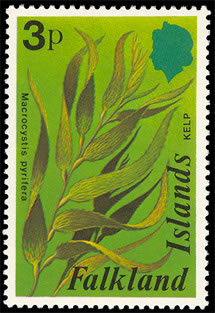 Seaweed on stamp