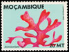 mozambique1983_20acrosoriumsp.jpg (20kb)